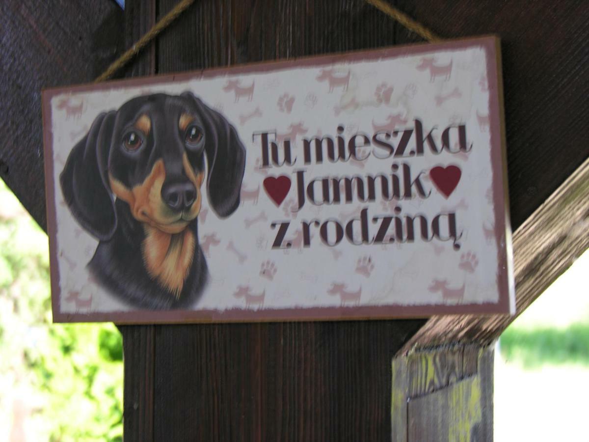 Agroturystyka Pod Sniezna Bystrzyca Klodzka Ngoại thất bức ảnh
