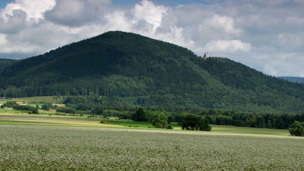 Agroturystyka Pod Sniezna Bystrzyca Klodzka Ngoại thất bức ảnh